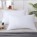 White Edge Style